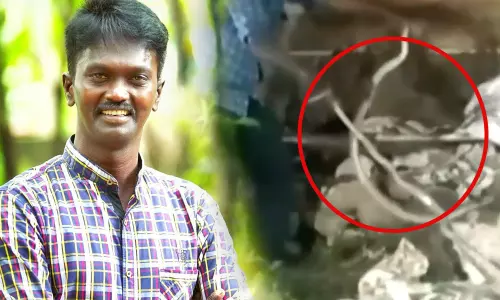 വീട്ടിനകത്ത് നിന്ന് രണ്ട് മൂർഖനെ ഒന്നിച്ച് പിടികൂടി വാവാ സുരേഷ്‌