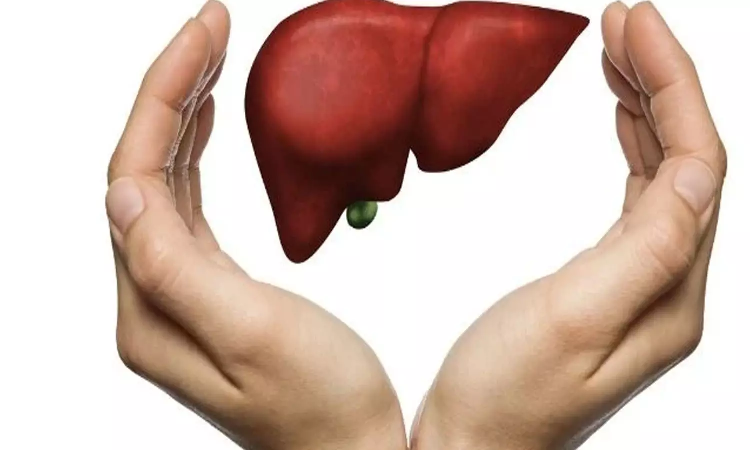 കരളേ കരളിന്റെ കരളേ....; കരളിന്റെ ആരോഗ്യത്തിന് എന്തൊക്കെ ശ്രദ്ധിക്കണം?