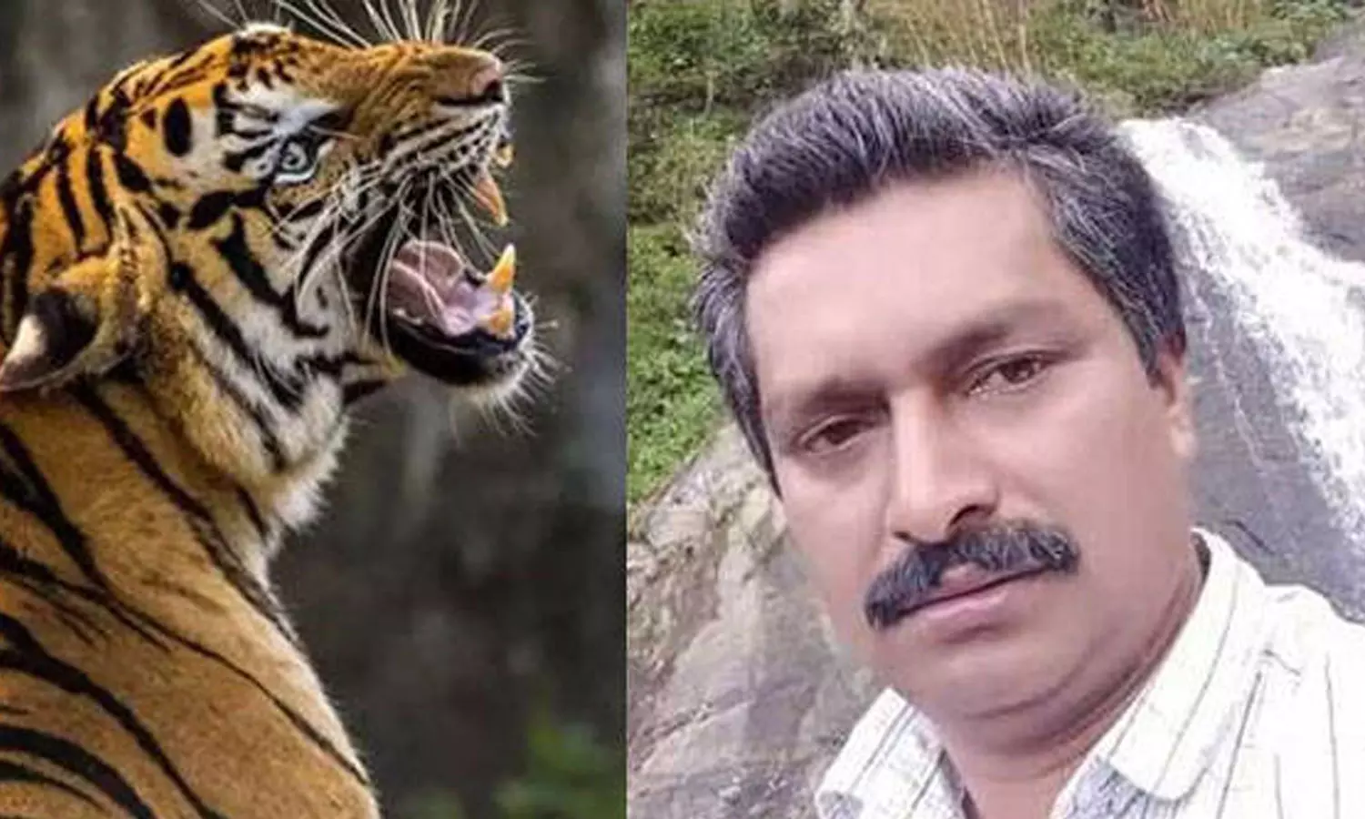 Government assistance to the family of a farmer killed in a tiger attack Government assistance to the family of a farmer killed in a tiger attack