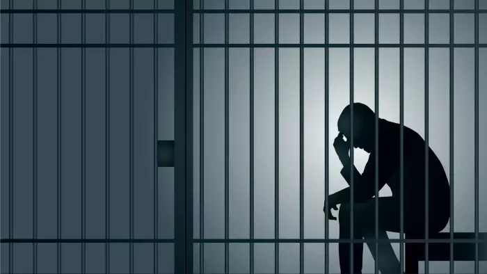 വാഹനങ്ങളിൽനിന്ന് മോഷണം   പതിവാക്കിയ പ്രതി പിടിയിൽ