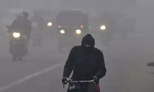 delhi cold wave,cold wave hits north india,north india cold wave,cold waves,cold wave in india,cold wave in delhi ncr,
