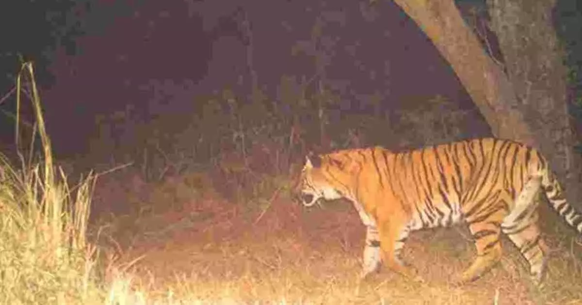 വന്യജീവി ശല്യം രൂക്ഷം: വയനാട്ടിൽ ഇന്ന് സർവകക്ഷി യോഗം