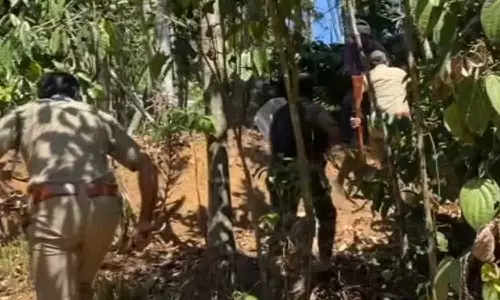 Wayanadwildanimalattack, Wayanadtigerattack