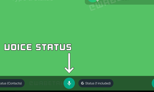 വാട്‌സ് ആപ്പിൽ വോയിസ് സ്റ്റാറ്റസ്! സൗകര്യം ആർക്കൊക്കെ ലഭിക്കും?