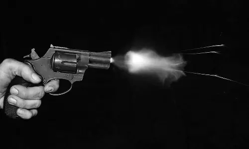 Boy Shot Dead, Video Game