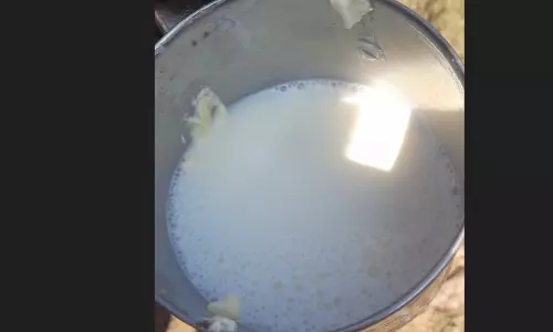 Aryankavu adulterated milk case