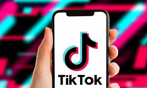 France bans TikTok, Twitter, Instagram, Netflix apps from government employees phones