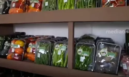 Mahaseel festival begins in Qatar