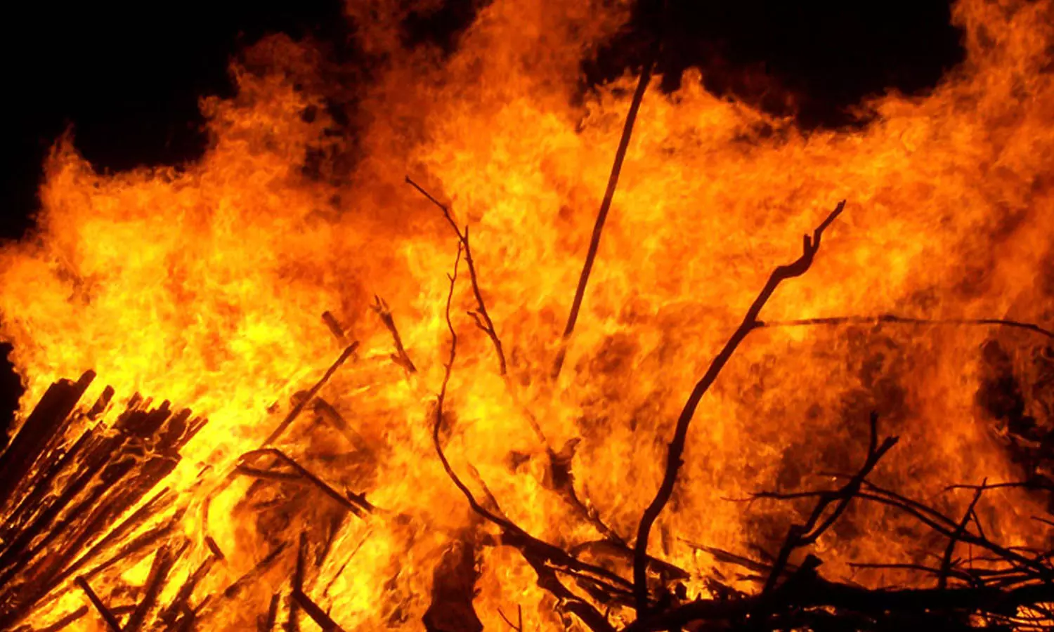 തിരുവനന്തപുരം പാലോട് തീപ്പിടിത്തം