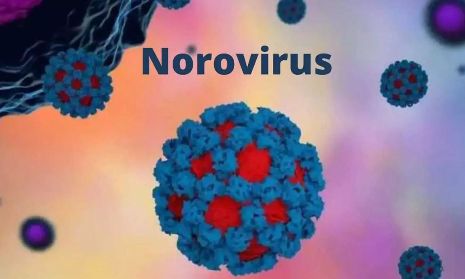 Noro virus,Ernakulam,noro virus symptoms,stomach virus, Noro virus,Ernakulam,noro virus symptoms,stomach virus,
