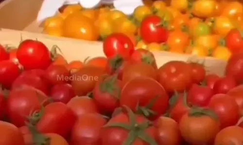 ബഹ്റൈനിൽ ഒരുക്കിയ ഗ്രാമീണ കാര്ഷികച്ചന്തയിൽ വിപുലമായ ജനപങ്കാളിത്തം ബഹ്റൈനിൽ ഒരുക്കിയ ഗ്രാമീണ കാര്ഷികച്ചന്തയിൽ വിപുലമായ ജനപങ്കാളിത്തം