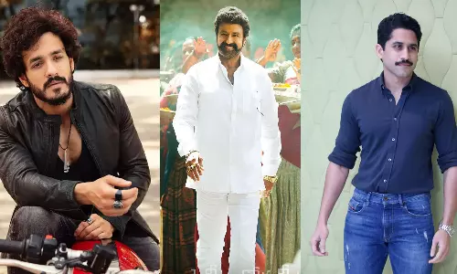 Telugu superstars, insulted, Naga Chaitanya,  Akhil Akkineni,  Nandamuri Balakrishna,