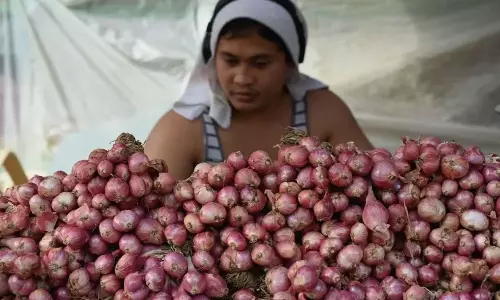 ഫിലിപ്പീൻസിൽ എങ്ങനെയാണ് ഉള്ളി ആഡംബര വസ്തുവായത്?