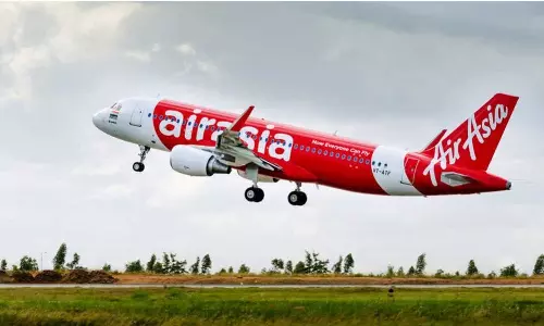 bird hit air asia flight