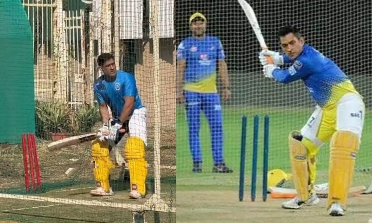 MS Dhoni, IPL 2023 MS Dhoni, IPL 2023