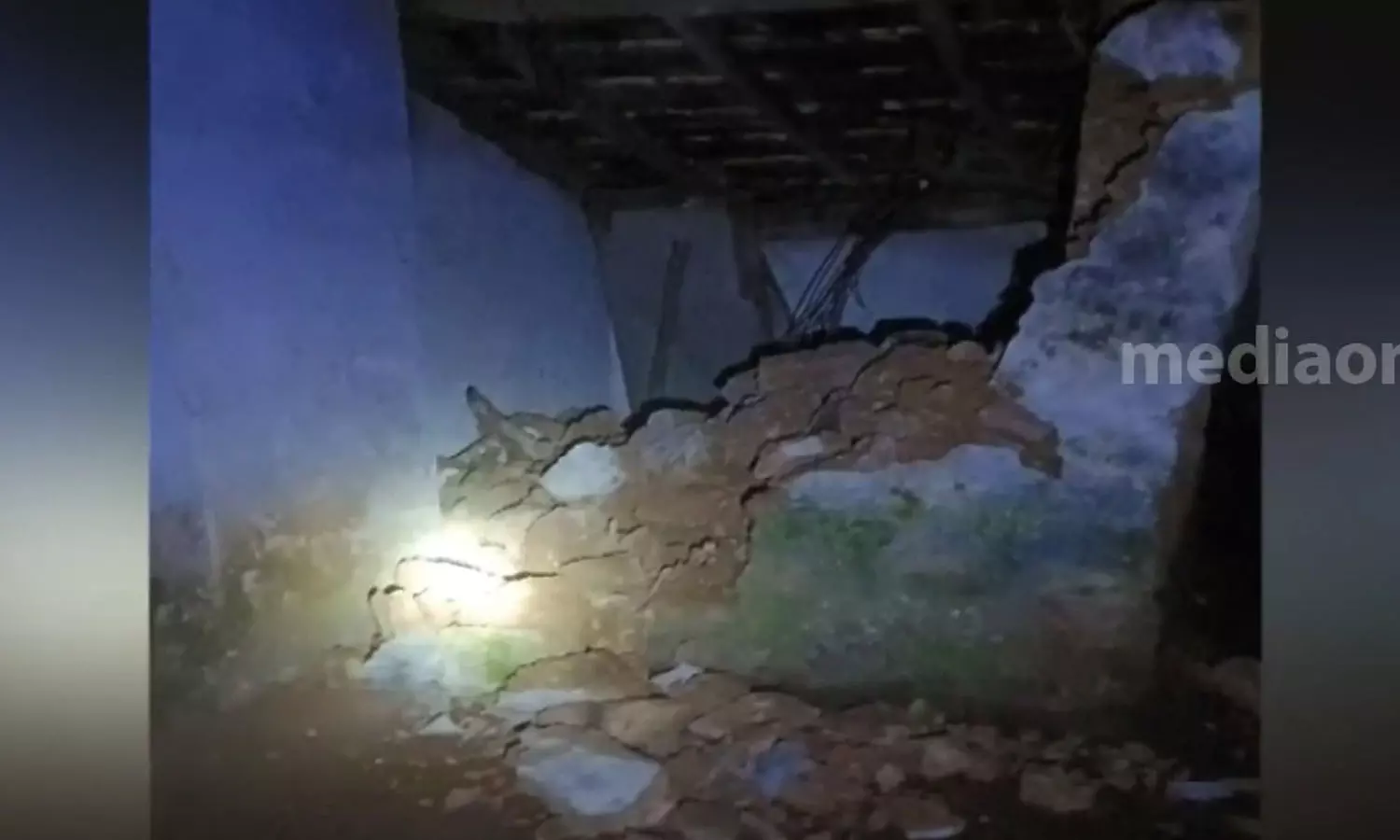 wildcat attack,  Idukki, elephent, arikomban,