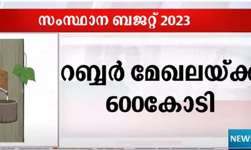 rubber kerala budget 2023 rubber kerala budget 2023