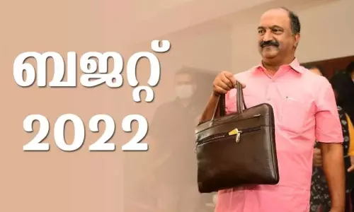 സംസ്ഥാന ബജറ്റിലെ പദ്ധതികൾ; പ്രവാസികളിൽ സമ്മിശ്ര പ്രതികരണം