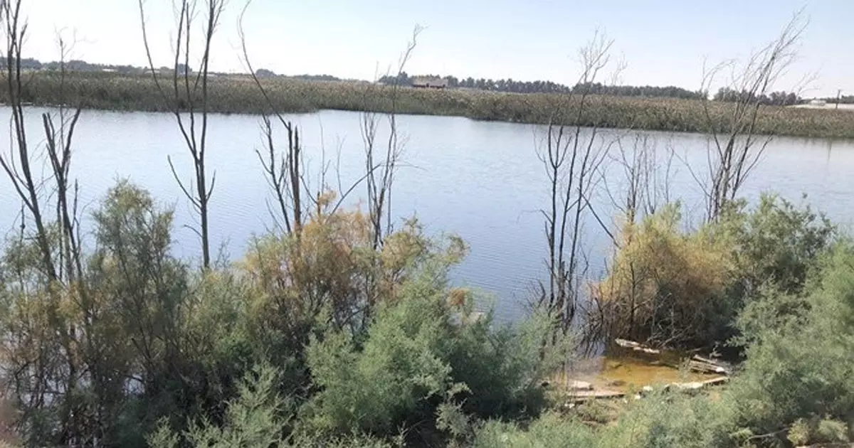 അനധികൃത വെള്ളക്കെട്ടിന് പരിഹാരം കാണുന്നതിനായി കുവൈത്തിൽ വിദഗ്ദ സമിതി