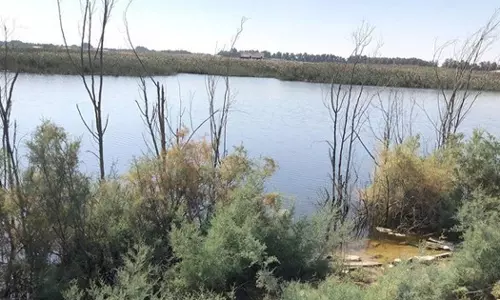 അനധികൃത വെള്ളക്കെട്ടിന് പരിഹാരം കാണുന്നതിനായി കുവൈത്തിൽ വിദഗ്ദ സമിതി