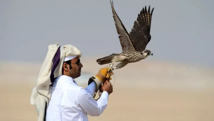കാണാതാകുന്ന വളർത്തുപക്ഷികളെ കണ്ടെത്താൻ   സഹായവുമായി ഖത്തർ ആഭ്യന്തര മന്ത്രാലയം