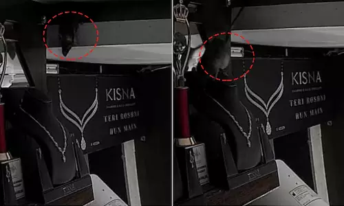 viral video,rat stealing necklace,CCTV footage, jewellery shop,IPS officer Rajesh Hingankar,Twitte,viral video was shared on Twitter