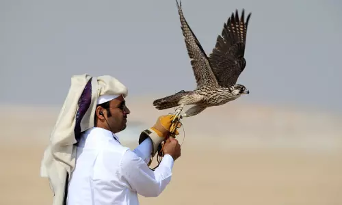 കാണാതാകുന്ന വളർത്തുപക്ഷികളെ കണ്ടെത്താൻ   സഹായവുമായി ഖത്തർ ആഭ്യന്തര മന്ത്രാലയം