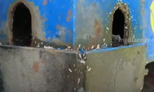 Two containers of rotten fish caught in kochi