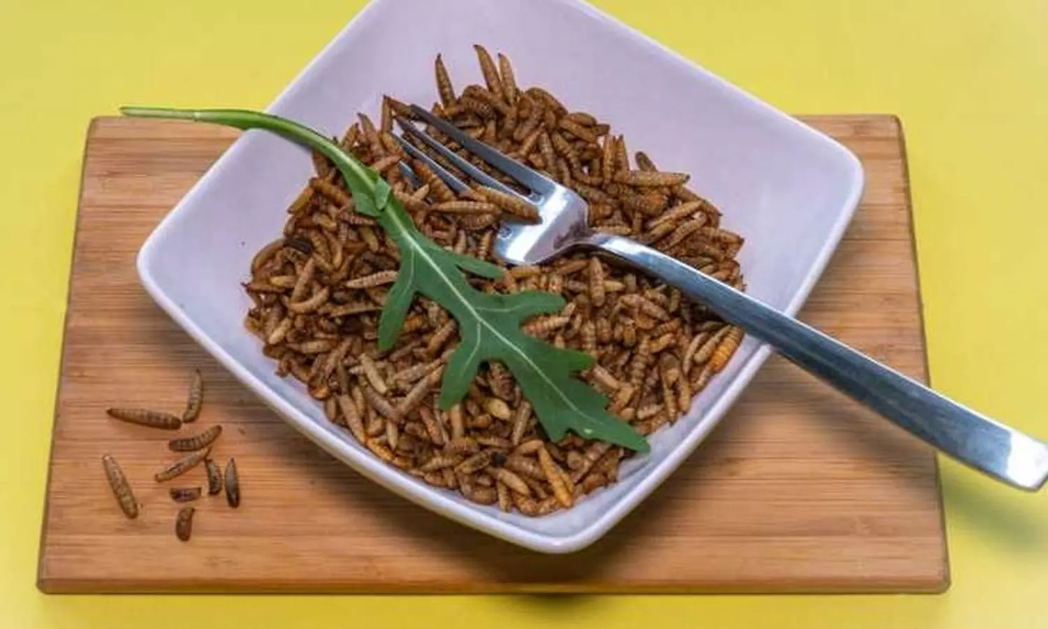 Kuwait bans food products that add insects in powder form