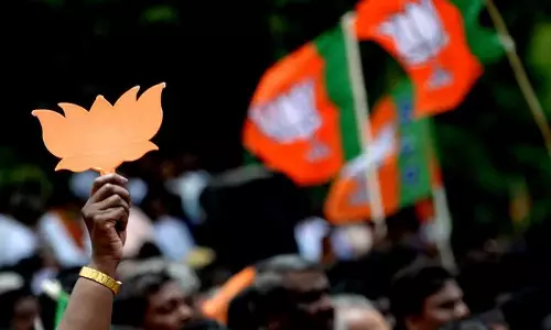 BJP ,woman BJP leader slaps ,Maharashtra