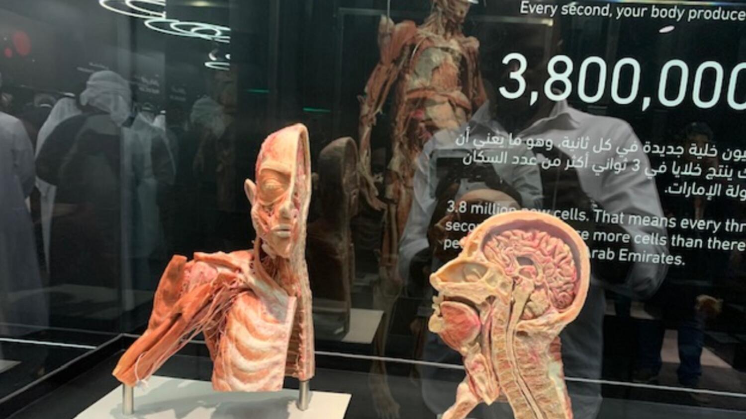 Abu Dhabi, Khalifa University, Body Museum