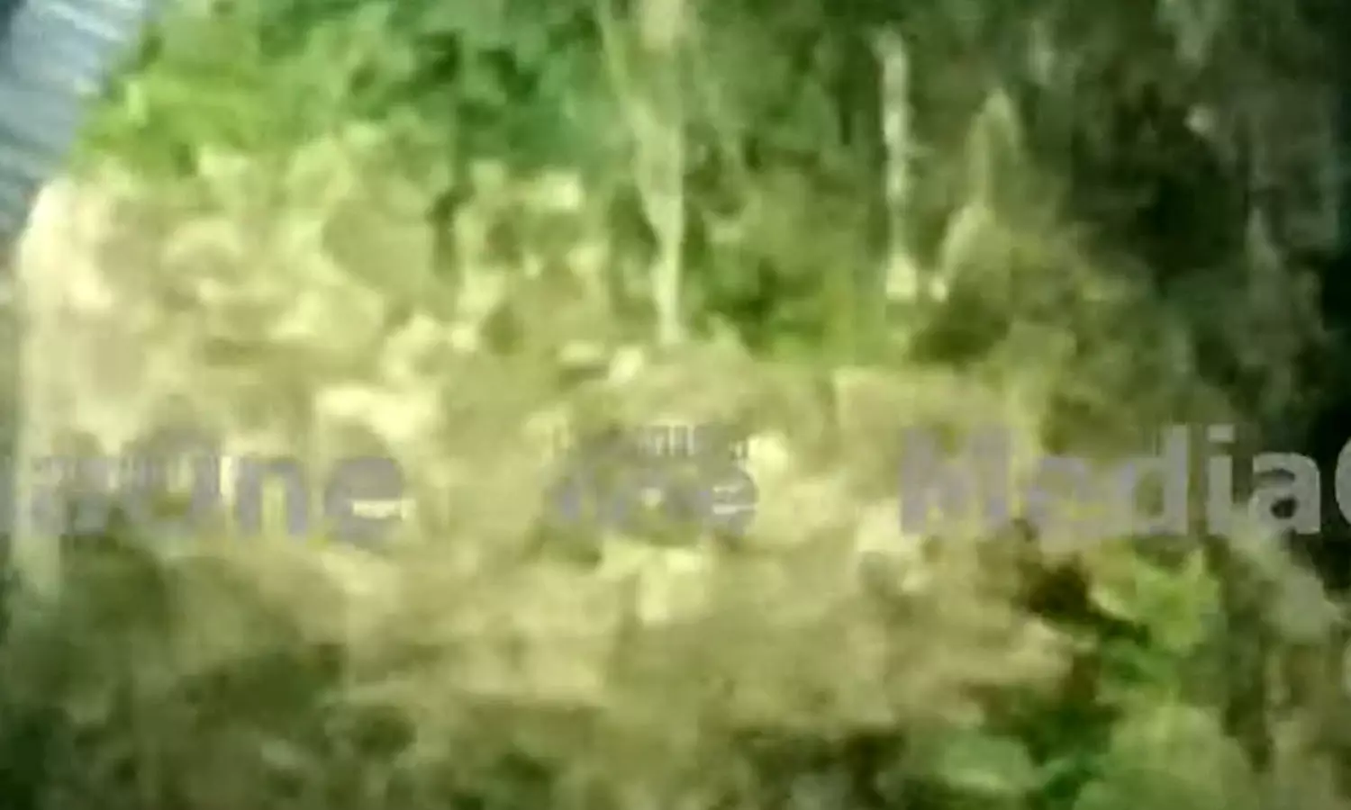 tiger, PALAKKAD, RRD,