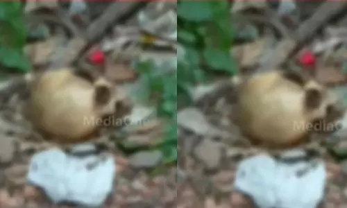 കളമശ്ശേരി മെഡിക്കൽ കോളേജ് ഹോസ്റ്റൽ പരിസരത്ത് തലയോട്ടി; പരിശോധന തുടരുന്നു