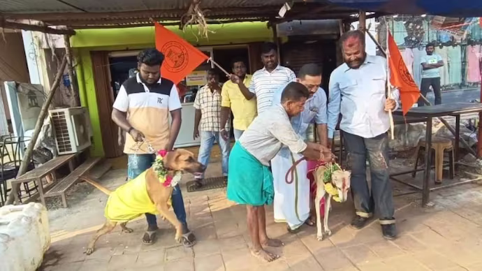 Mock marriage ceremonies were performed on dogs to protest against Valentines Day Mock marriage ceremonies were performed on dogs to protest against Valentines Day