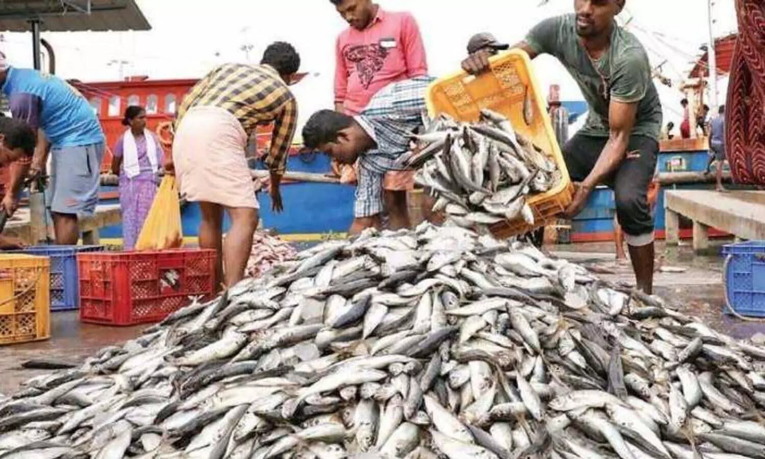 ചമ്പക്കര മീൻ മാർക്കറ്റിൽ മിന്നൽ പരിശോധന; പഴകിയ മീൻ കണ്ടെടുത്തു ചമ്പക്കര മീൻ മാർക്കറ്റിൽ മിന്നൽ പരിശോധന; പഴകിയ മീൻ കണ്ടെടുത്തു