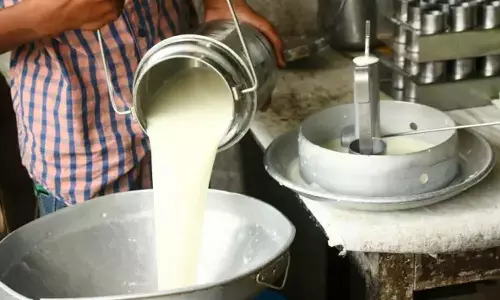 Aflatoxin found in milk during food safety inspection