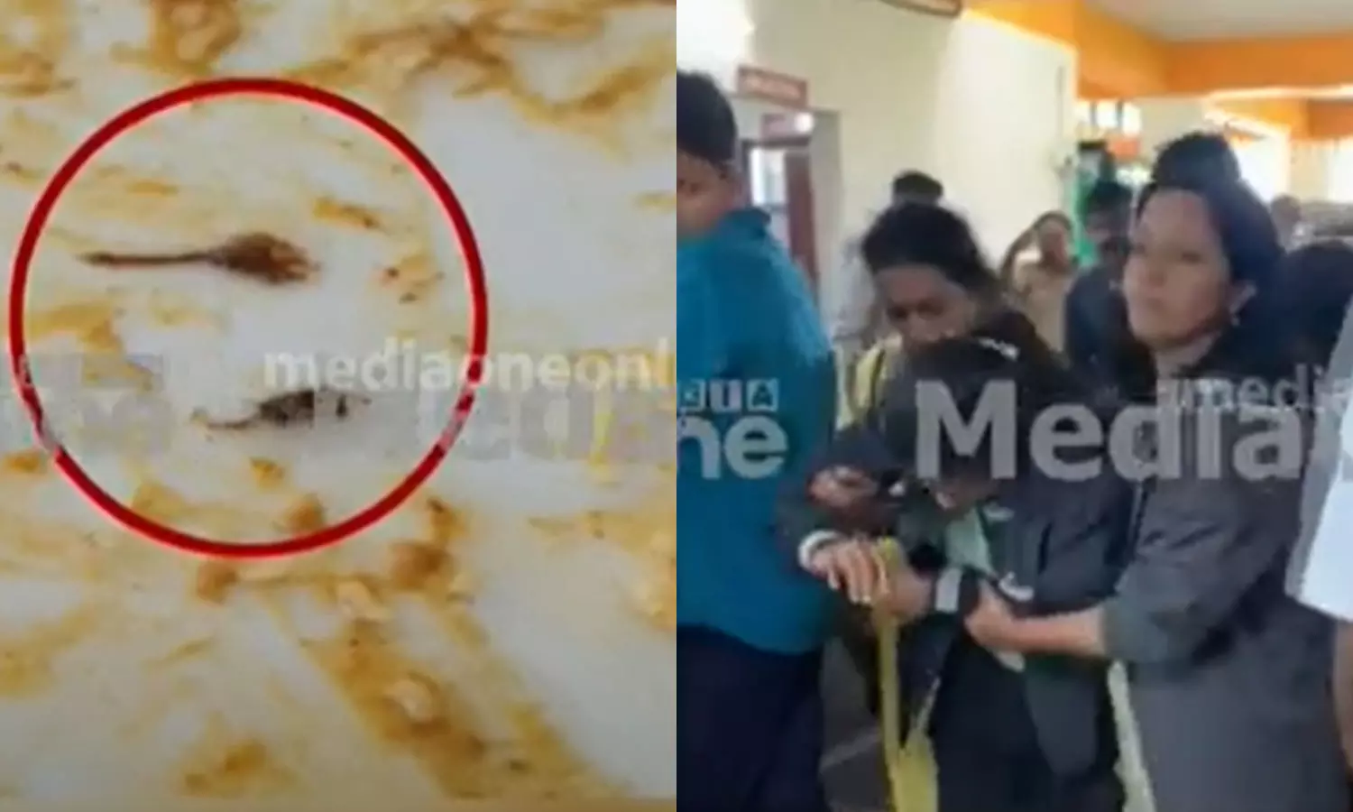 dead worm in hotel food vagamon