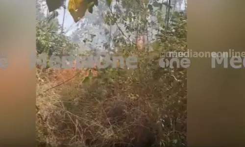 തിരുവനന്തപുരം പാലോട് ഇടിഞ്ഞാർ വനത്തിൽ തീപിടിത്തം