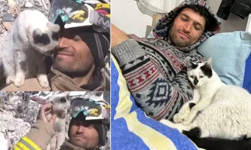 Man and cat,syria earthquake,turkey earthquake,turkey syria earthquake,earthquake,syria turkey earthquake,earthquake turkey,earthquake in turkey,turkey earthquake 2023,Rescued Cat ,Rescued Cat Refuses To Leave Man and cat,syria earthquake,turkey earthquake,turkey syria earthquake,earthquake,syria turkey earthquake,earthquake turkey,earthquake in turkey,turkey earthquake 2023,Rescued Cat ,Rescued Cat Refuses To Leave