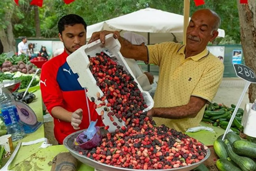 കാർഷിക മേള; തദ്ദേശീയ കർഷകർക്ക് വിപണിയൊരുക്കുന്നതിൽ വിജയമെന്ന് വിലയിരുത്തൽ കാർഷിക മേള; തദ്ദേശീയ കർഷകർക്ക് വിപണിയൊരുക്കുന്നതിൽ വിജയമെന്ന് വിലയിരുത്തൽ