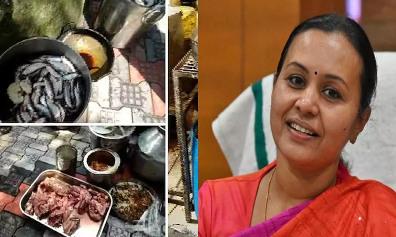 veena george, food safety department veena george, food safety department