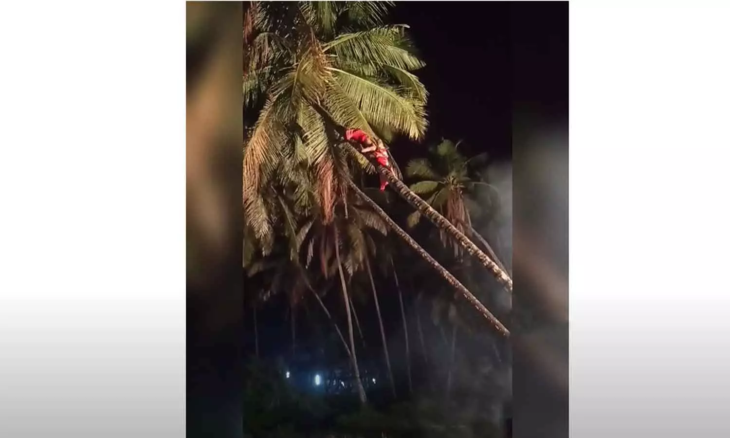 Kannur theyyam Kannur theyyam