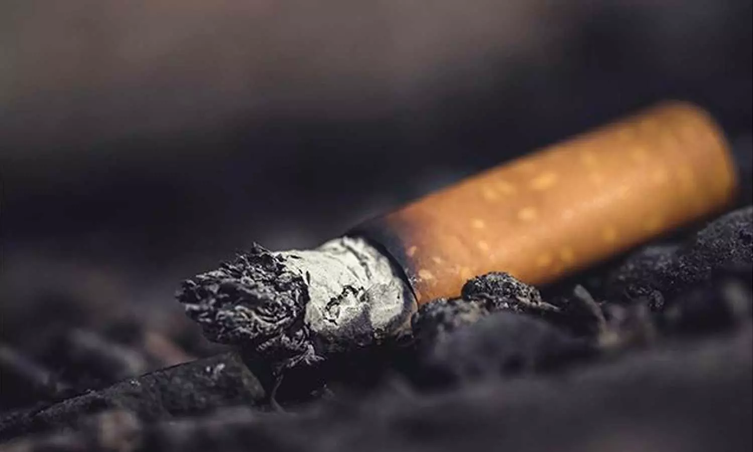 Murder Case In US,Cigarette Butt Solved Murder Case,Cigarette Butt DNA,world news,crime news Murder Case In US,Cigarette Butt Solved Murder Case,Cigarette Butt DNA,world news,crime news