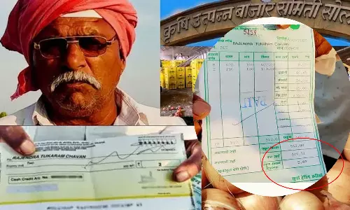 maharashtra farmer, onions price, national news