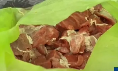 meat,  Inspection,Nettur, health department,