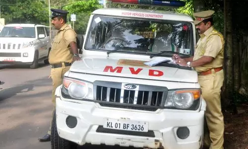 Fires in vehicles, Motor vehicle department, survey,