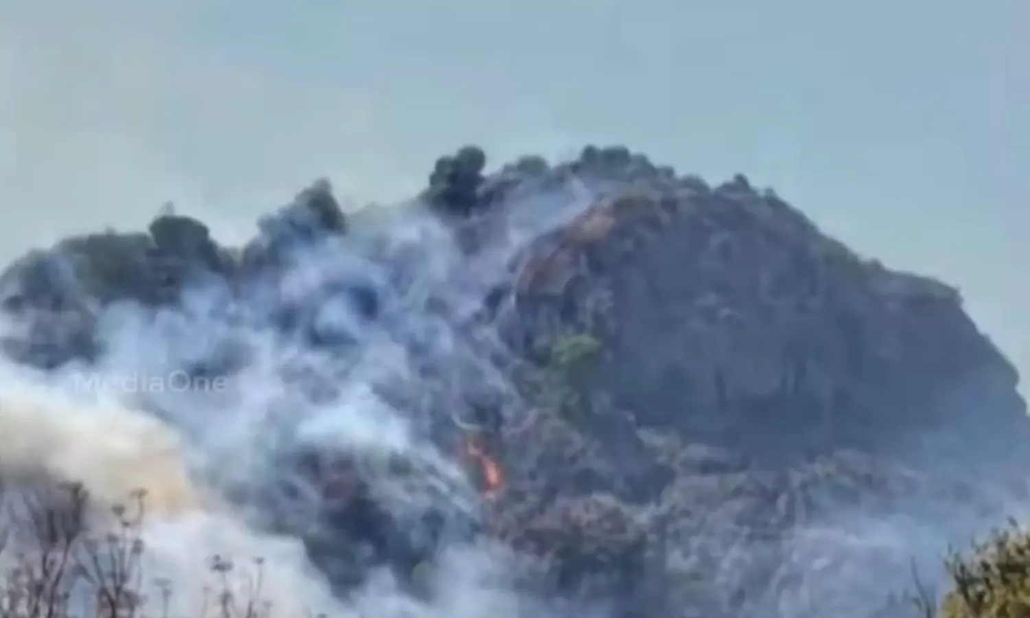 fire, wayanad fire, wayanad