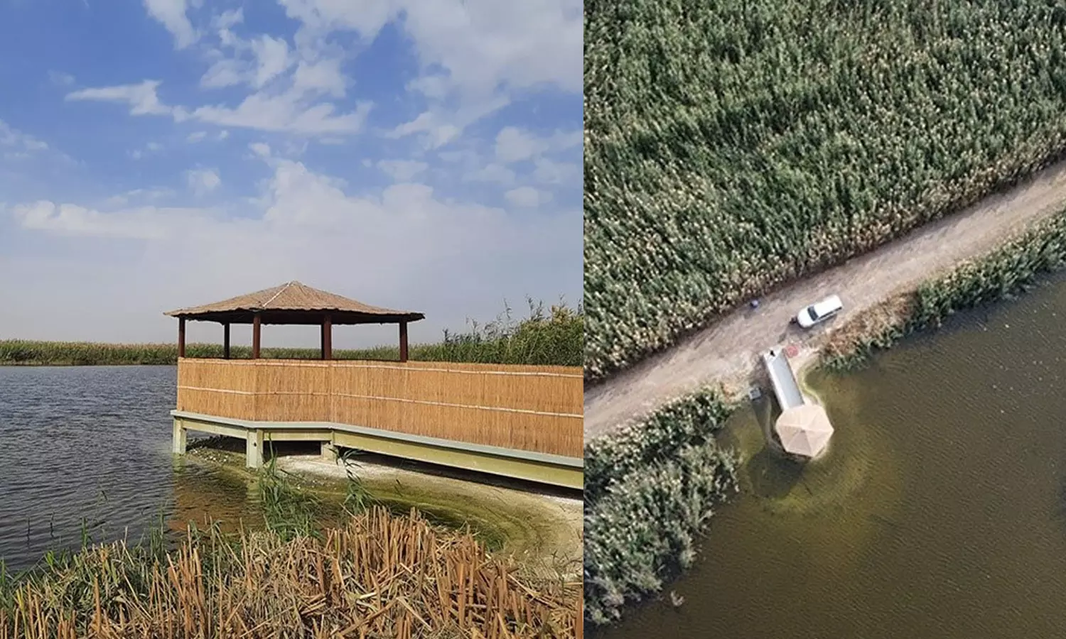 Jahra Natural Reserve, kuwait