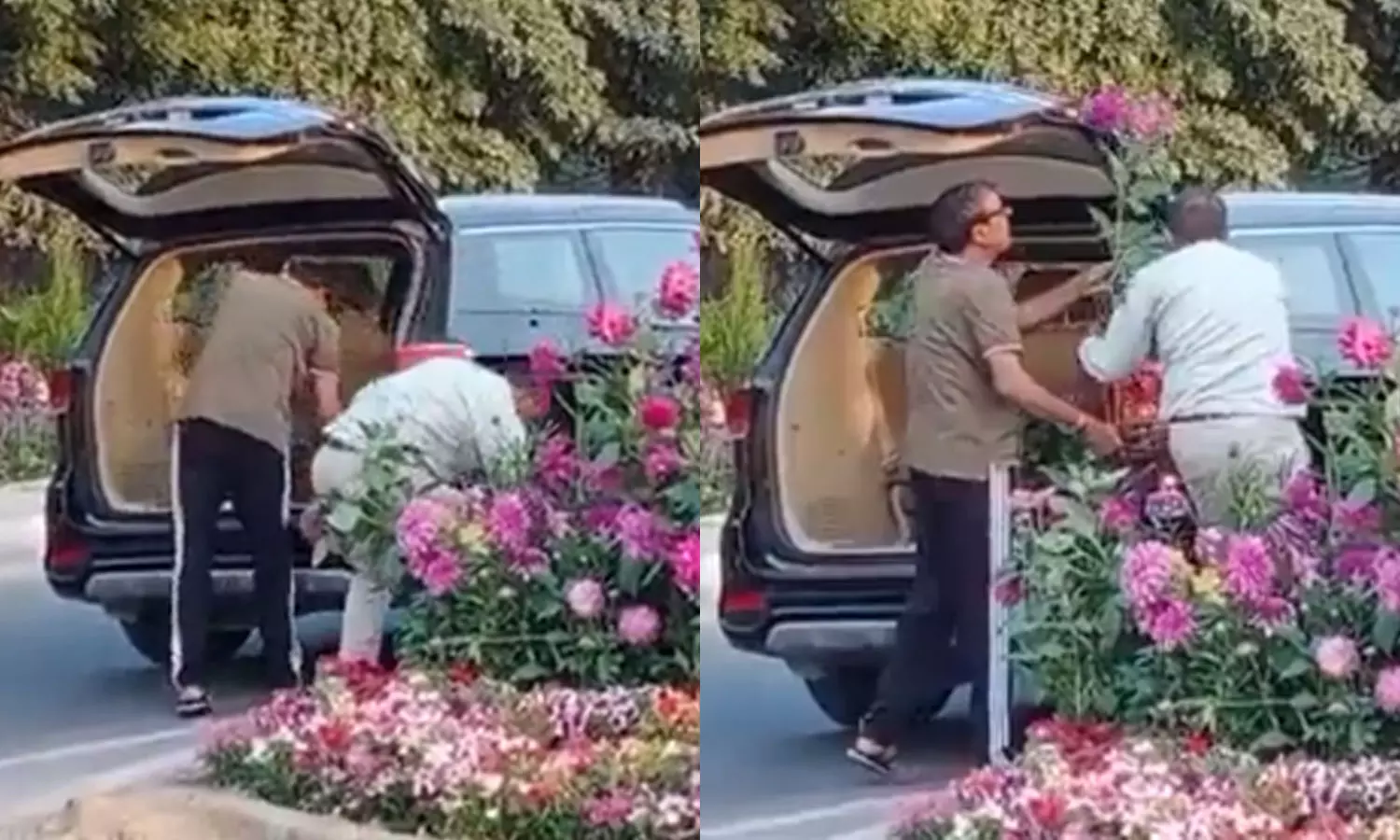 Gurugram Men Steal Flower Pots Set Up For G20 Summit Gurugram Men Steal Flower Pots Set Up For G20 Summit