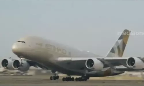 Etihad Airlines, suspends, online check-in,